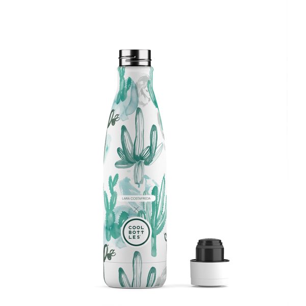 藝術家 lara costafreda watercolor cactus 仙人掌