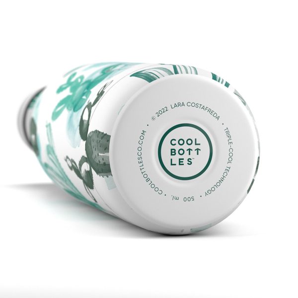 藝術家 lara costafreda watercolor cactus 仙人掌